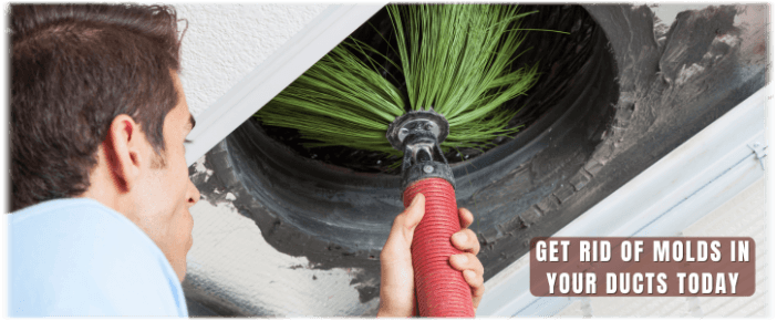 Air Duct Mold Removal in Cherry Hill
