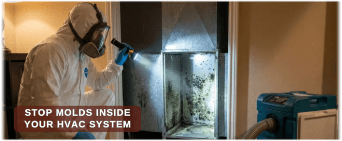 HVAC Mold Removal Cherry Hill